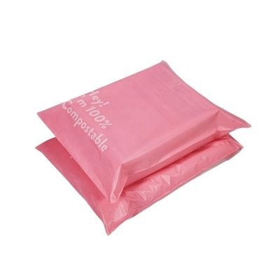 LDPEポリバッグ封筒 防水 生物分解性 服用 送料 メール