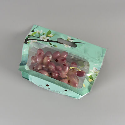 カスタム クリア 食品級 プラスチック 新鮮産物 梱包袋 農園 果物 野菜 CPP 再封鎖可能なジップロック袋